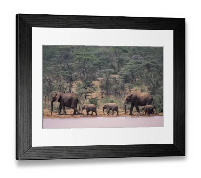 Framed Print : Africa, Kenya Framed Print : Africa, Kenya