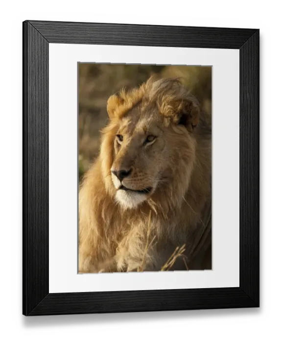 Framed Print : Africa, Kenya