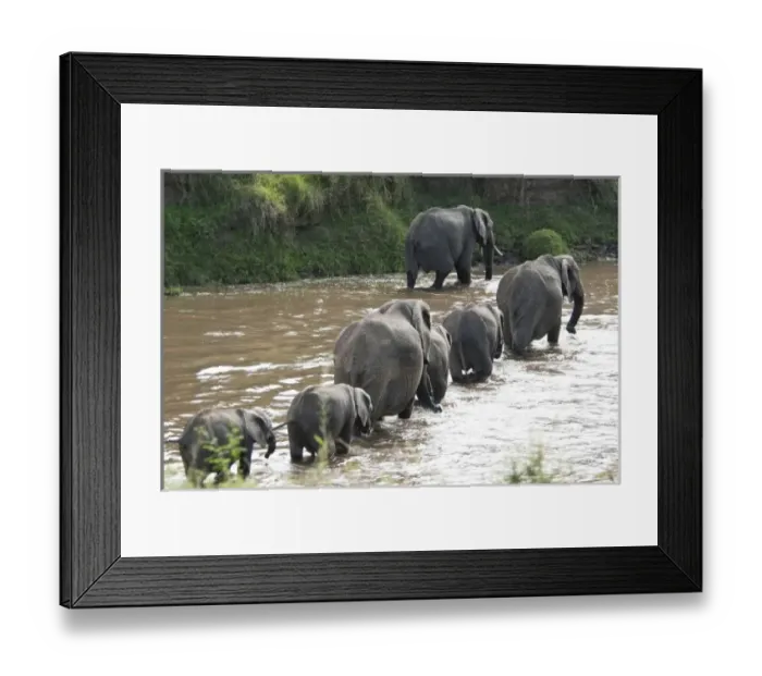 Framed Print : Kenya, No Water Framed Print : Kenya, No Water