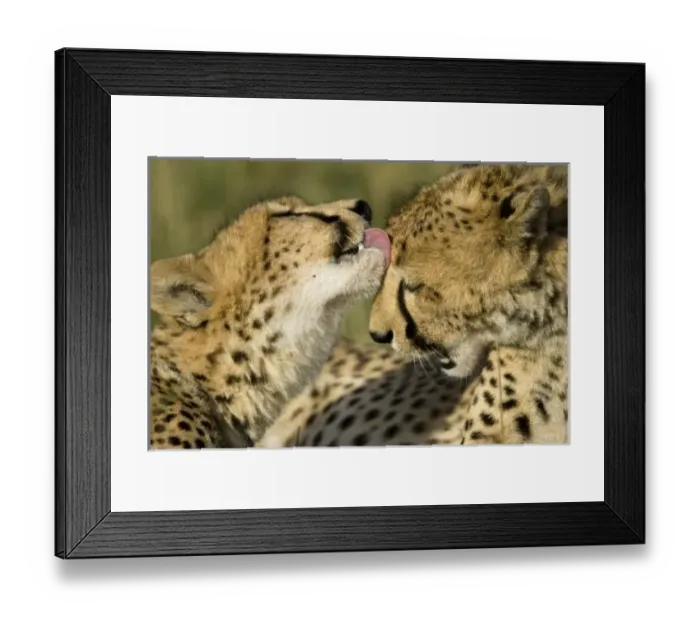 Framed Print : Africa, Kenya