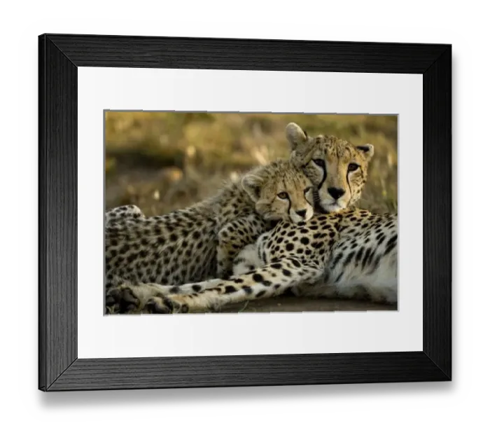 Framed Print : Africa, Kenya Framed Print : Africa, Kenya
