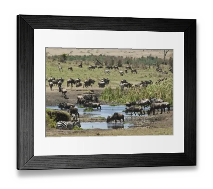 Framed Print : Kenya, No Water