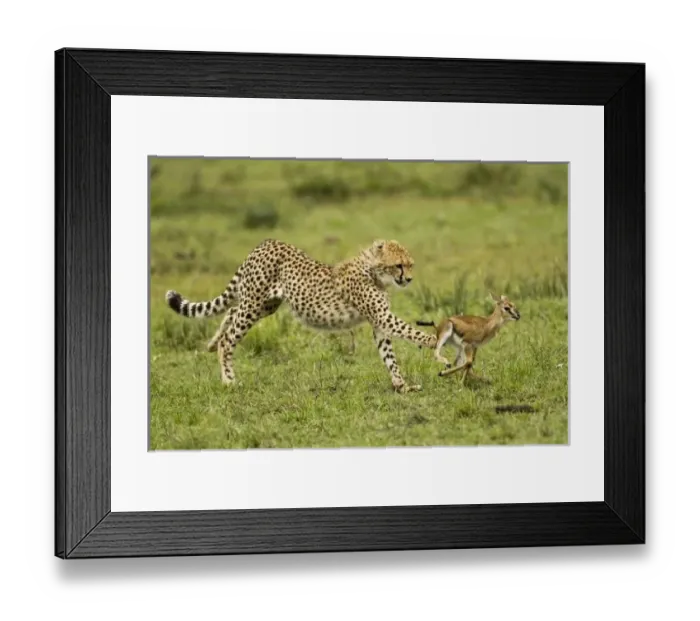Framed Print : Africa, Kenya