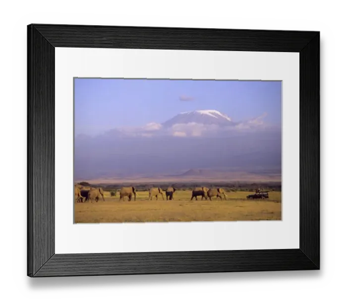 Framed Print : Kenya: Amboseli National Park, elephants and safari vehicle with Mt Kilimanjaro in distance Framed Print : Kenya: Amboseli National Park, elephants and safari vehicle with Mt Kilimanjaro in distance