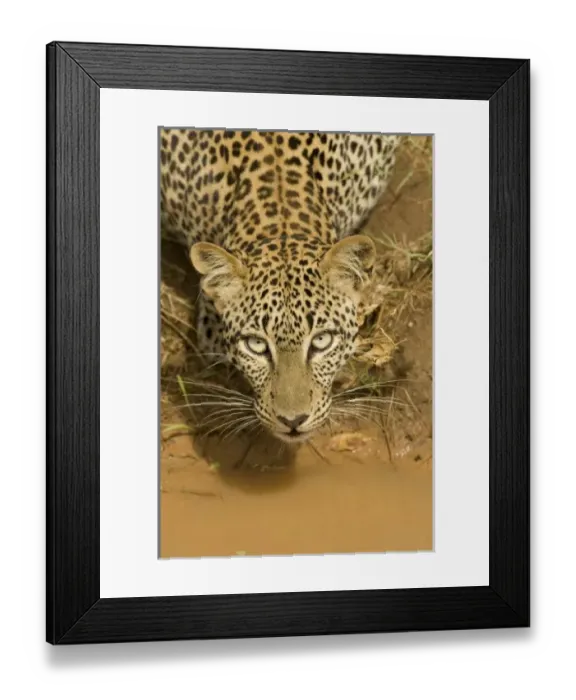 Framed Print : Africa, Kenya
