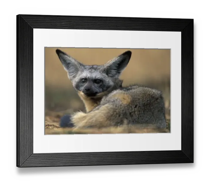 Framed Print : Africa, Kenya Framed Print : Africa, Kenya