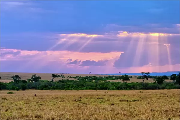 Sun setting on the Masai Mara