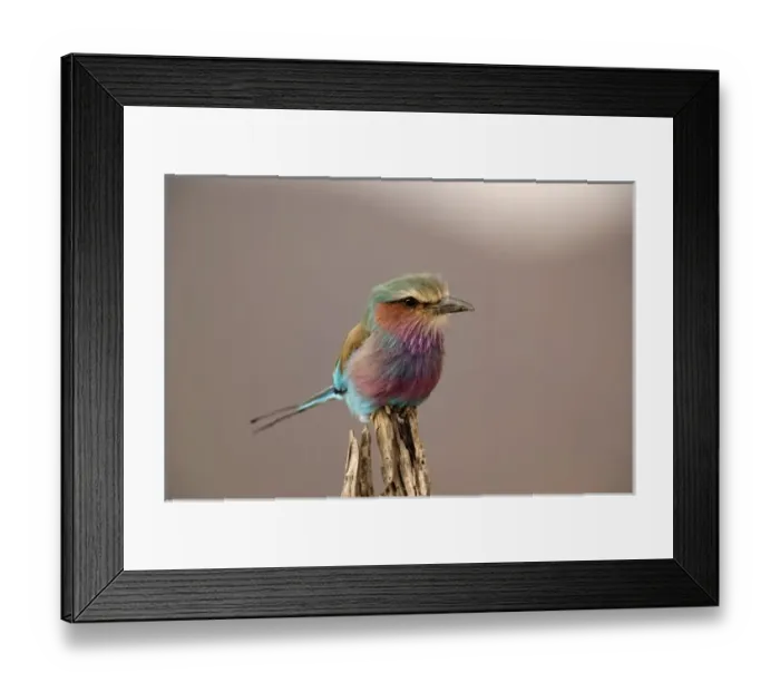 Framed Print : Africa, Kenya