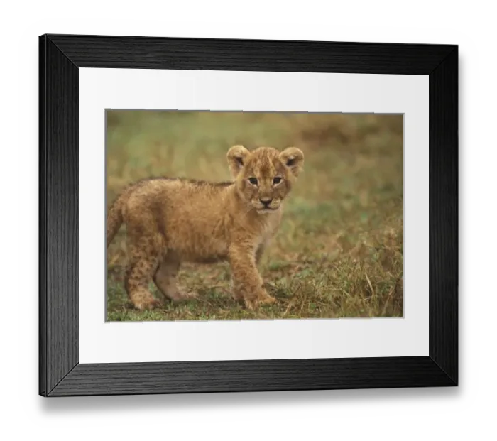 Framed Print : Africa, Kenya