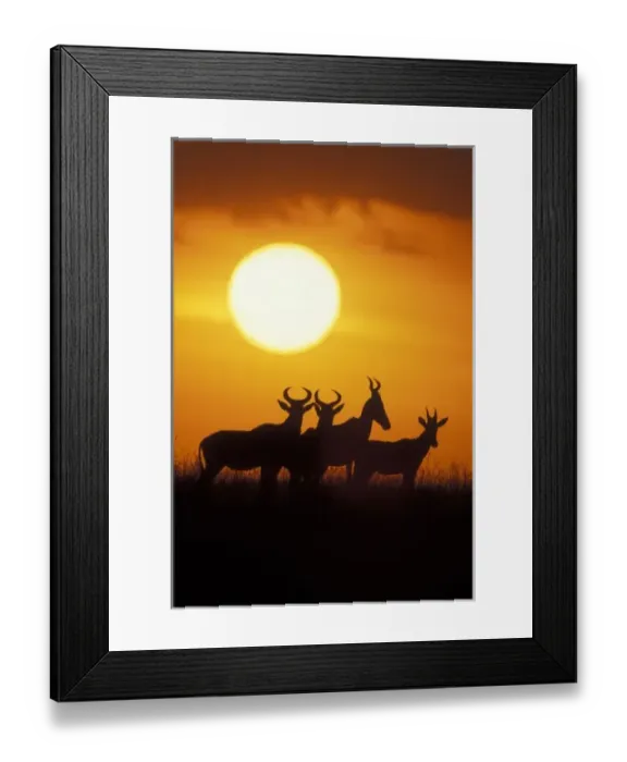 Framed Print : Africa, Kenya Framed Print : Africa, Kenya