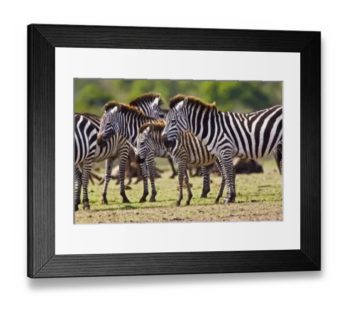 Framed Print : Africa, Kenya