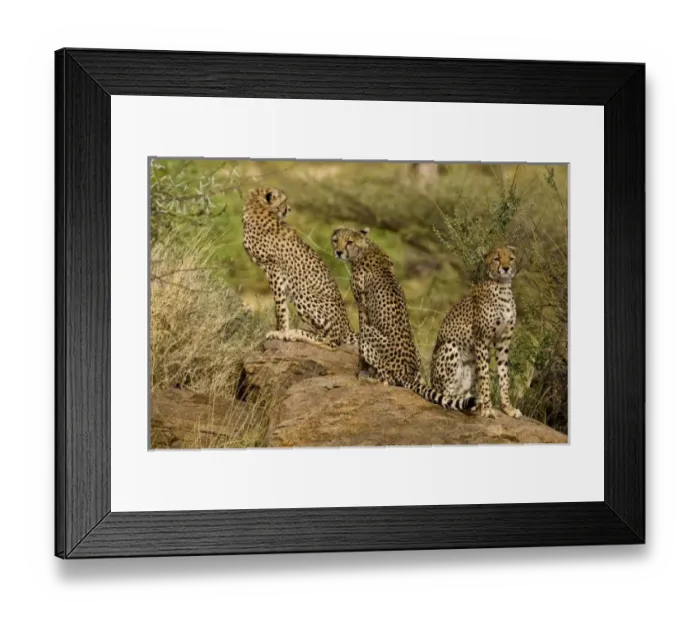 Framed Print : Africa, Kenya