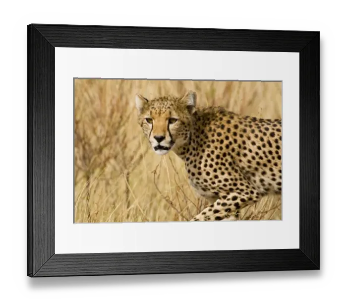 Framed Print : Africa, Kenya