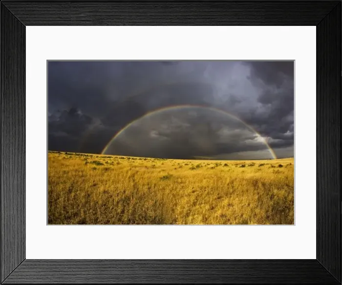 Framed Print : A rainbow appearing through a misty after noon in the Msai Mara Kenya. (RF)