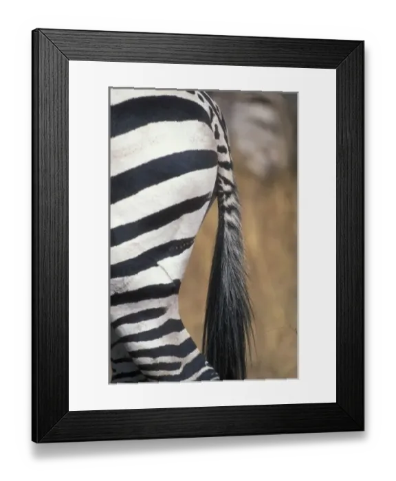 Framed Print : Africa, Kenya Framed Print : Africa, Kenya
