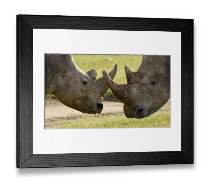 Framed Print : Africa, Kenya