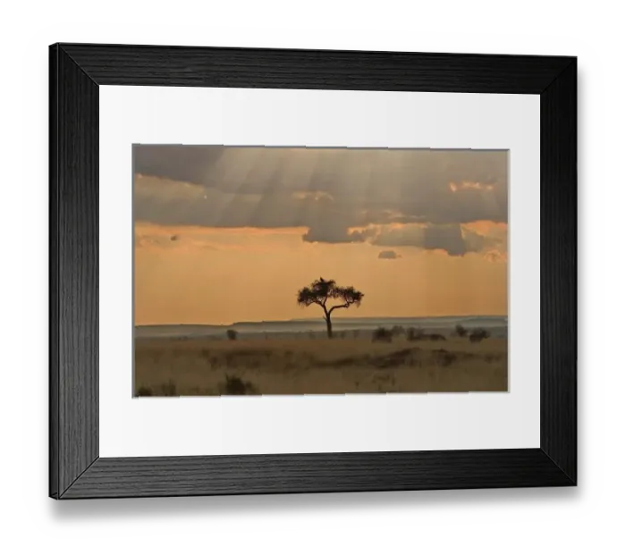 Framed Print : The sun rays lasering Framed Print : The sun rays lasering