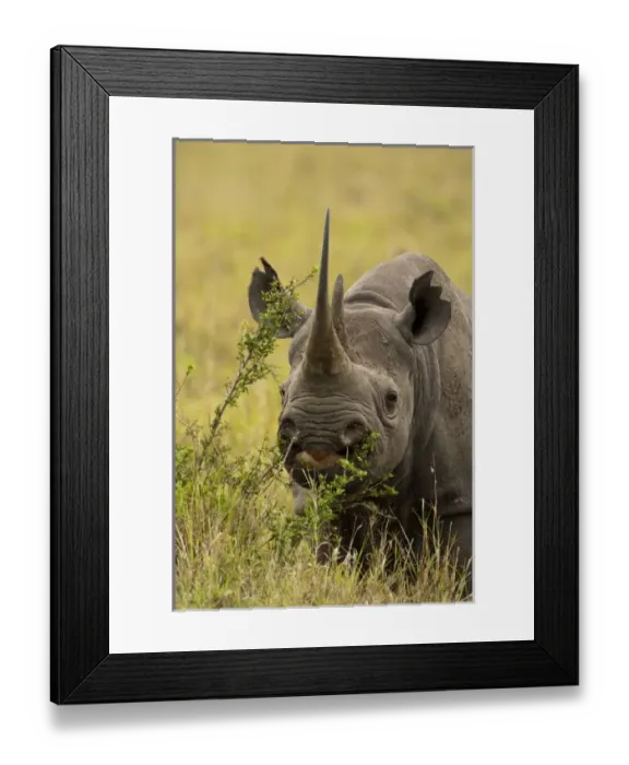 Framed Print : Africa, Kenya