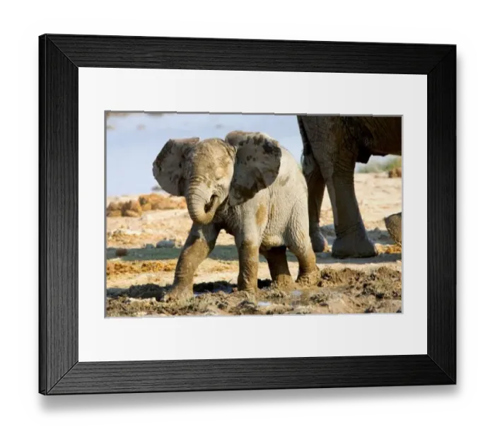 Framed Print : Namibia, Africa Framed Print : Namibia, Africa