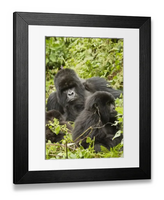 Framed Print : Africa, Rwanda
