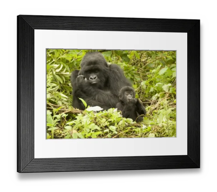 Framed Print : Africa, Rwanda