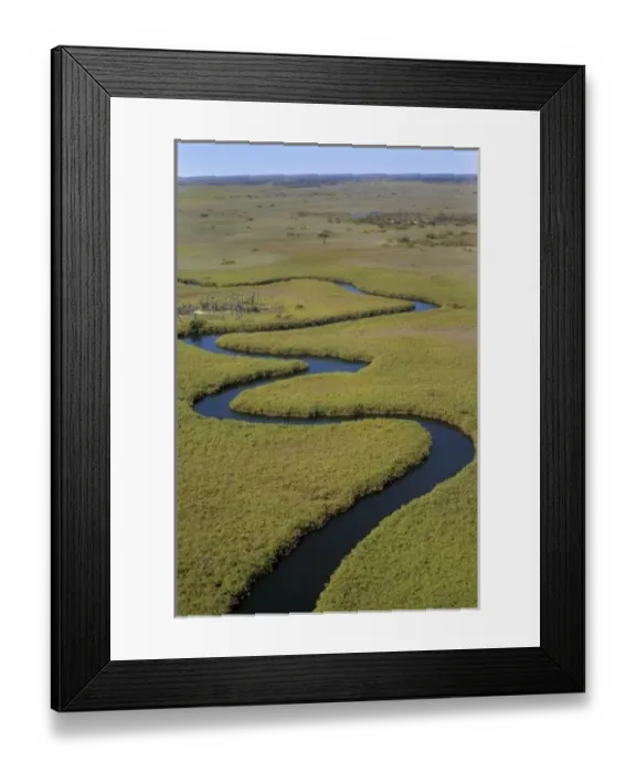 Framed Print : Africa, Botswana Framed Print : Africa, Botswana