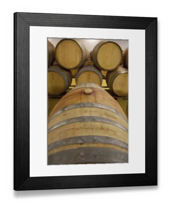 Framed Print : South Africa, Cape Framed Print : South Africa, Cape