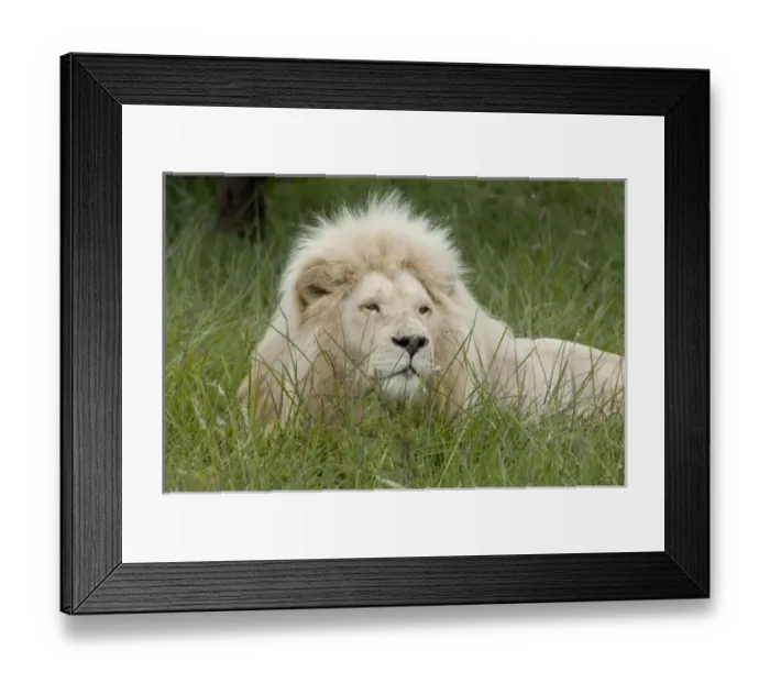 Framed Print : South Africa, East Framed Print : South Africa, East