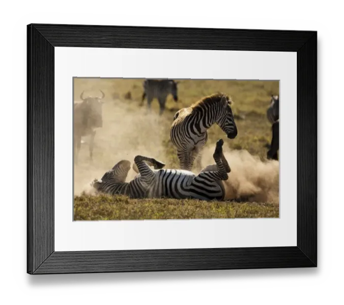 Framed Print : Africa, Tanzania Framed Print : Africa, Tanzania