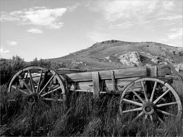 USA, Montana, Bannack State Park Old wagon made of wood in grass near mining ghost town of Bannack