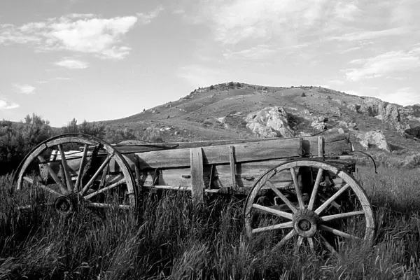 USA, Montana, Bannack State Park Old wagon made of wood in grass near mining ghost town of Bannack