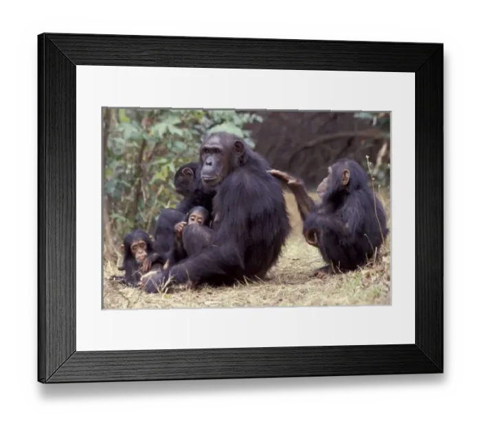 Framed Print : Africa, Tanzania