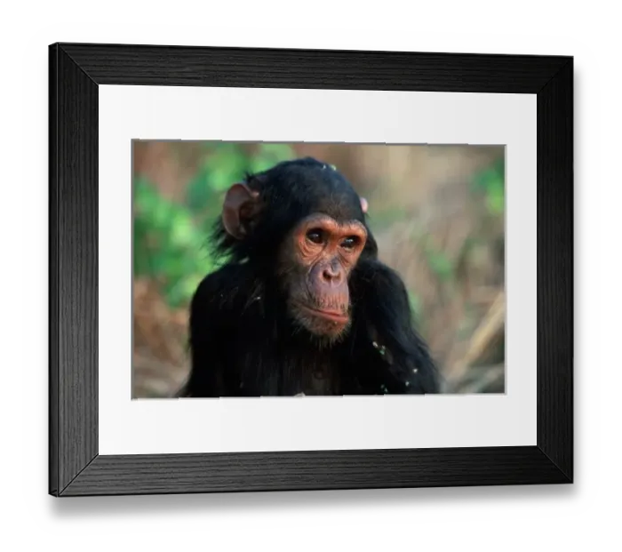 Framed Print : Africa, East Africa Framed Print : Africa, East Africa