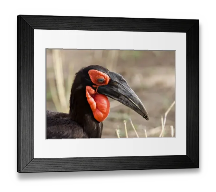 Framed Print : Africa, Tanzania Framed Print : Africa, Tanzania