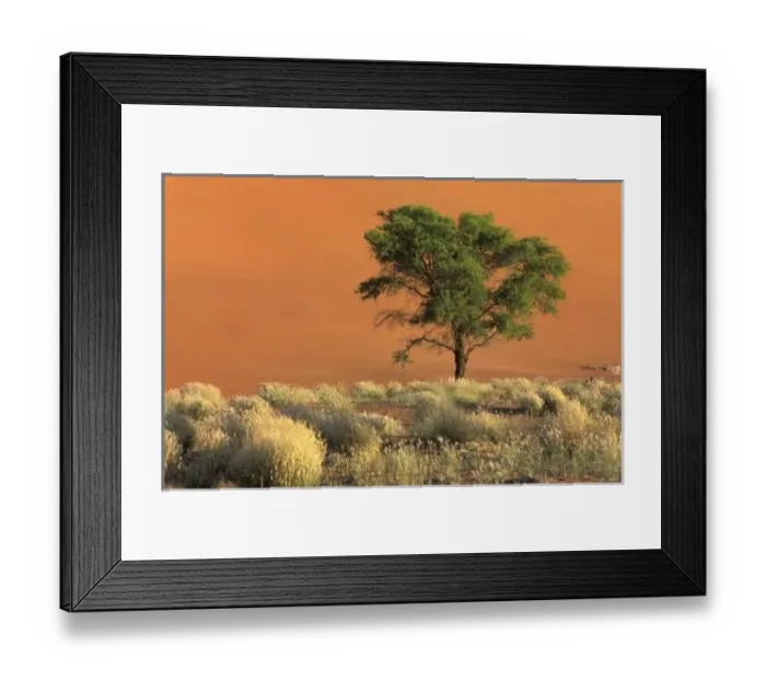 Framed Print : Africa, Namibia, Namib National Park, Sossusvlei Dunes