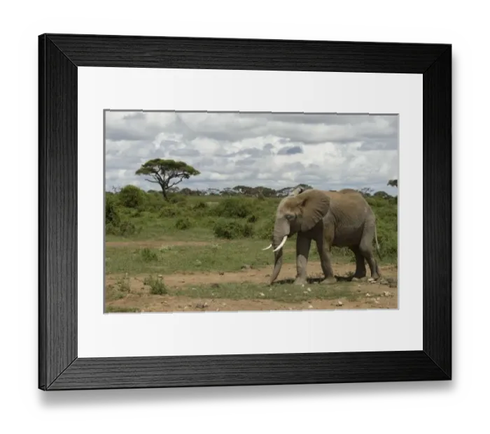 Framed Print : Africa, Kenya