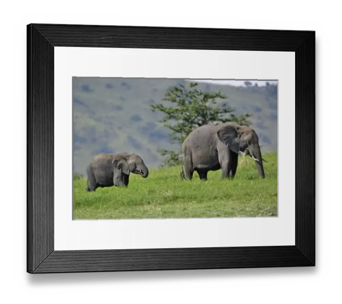 Framed Print : Africa, Tanzania