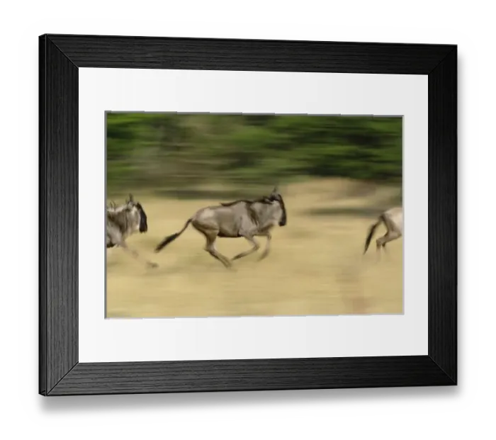 Framed Print : Africa, Tanzania Framed Print : Africa, Tanzania