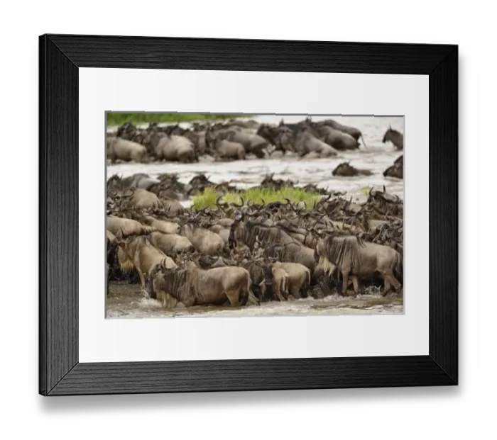 Framed Print : Africa, Tanzania