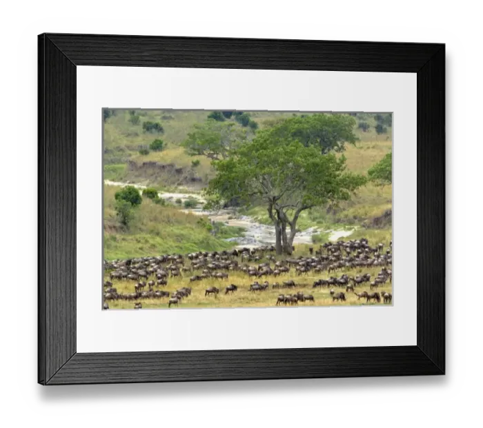 Framed Print : Africa, Tanzania
