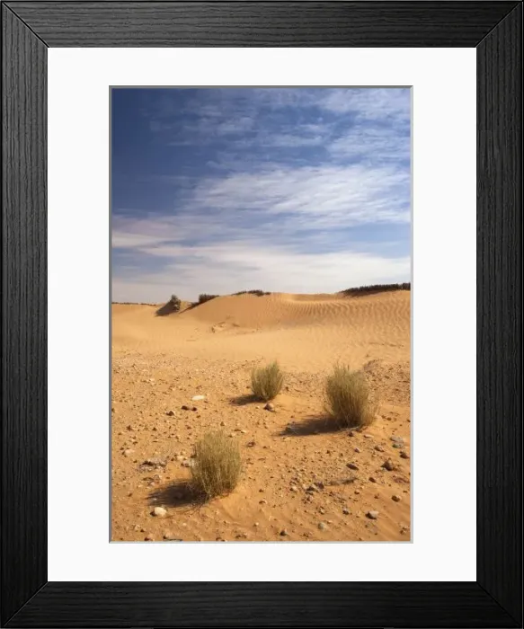 Framed Print : Tunisia, Ksour Area, Ksar Ghilane, sand dunes Framed Print : Tunisia, Ksour Area, Ksar Ghilane, sand dunes