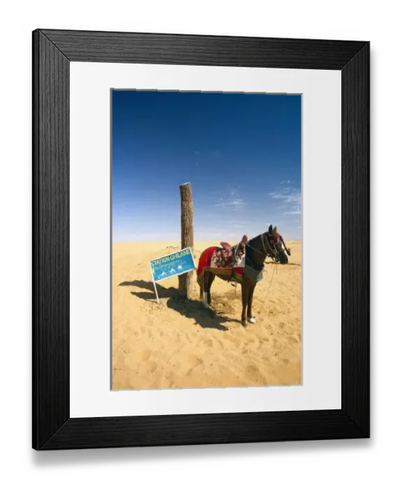 Framed Print : Tunisia, Ksour Area, Ksar Ghilane, horse in the desert Framed Print : Tunisia, Ksour Area, Ksar Ghilane, horse in the desert