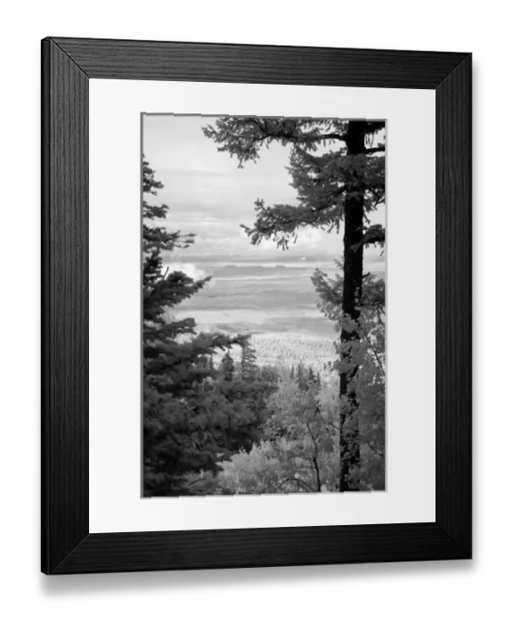 Framed Print : View west from crest of Sandia, Mountains, Albuquerque, New Mexico, USA Framed Print : View west from crest of Sandia, Mountains, Albuquerque, New Mexico, USA
