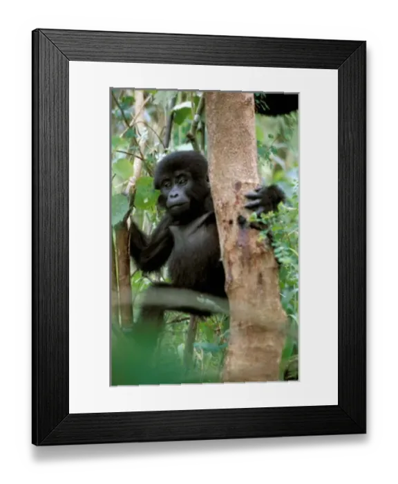 Framed Print : Africa, Uganda