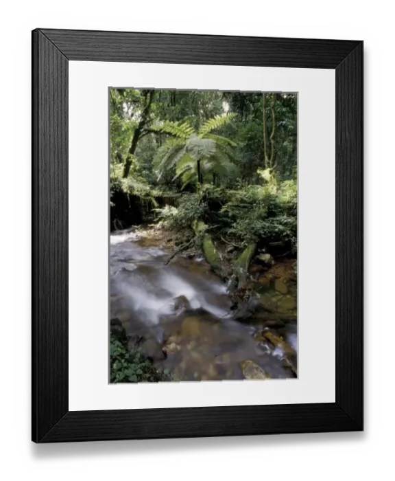 Framed Print : Africa, Uganda Framed Print : Africa, Uganda