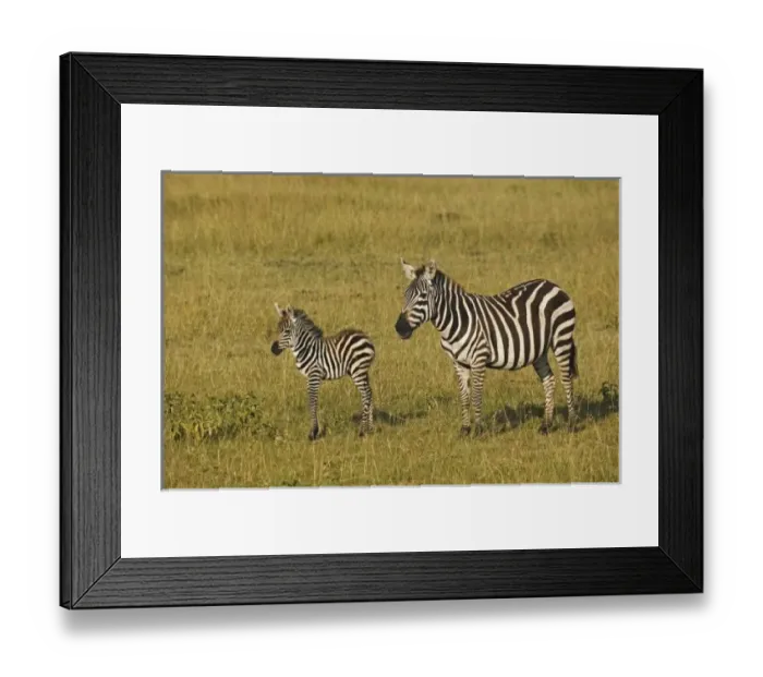 Framed Print : Africa, Kenya Framed Print : Africa, Kenya