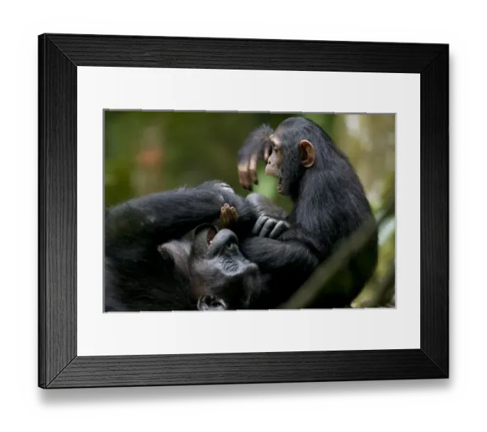 Framed Print : Africa, Uganda