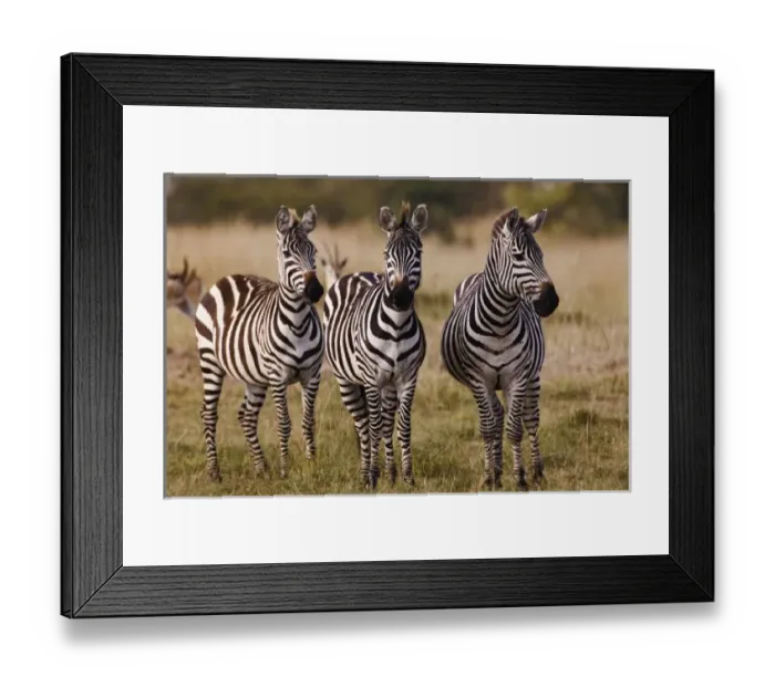 Framed Print : Africa, Kenya Framed Print : Africa, Kenya