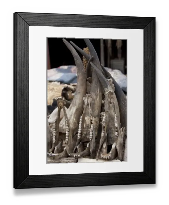 Framed Print : Africa, Togo. Lome Voodoo Fetish Market. Local market where animal bones, skin