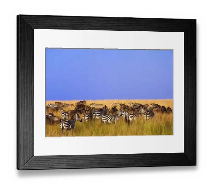 Framed Print : Africa, Kenya Framed Print : Africa, Kenya